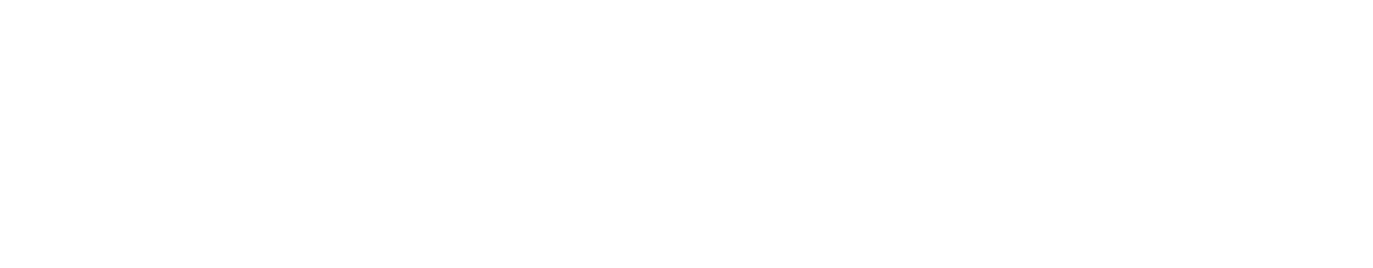 Carahsoft White Logo